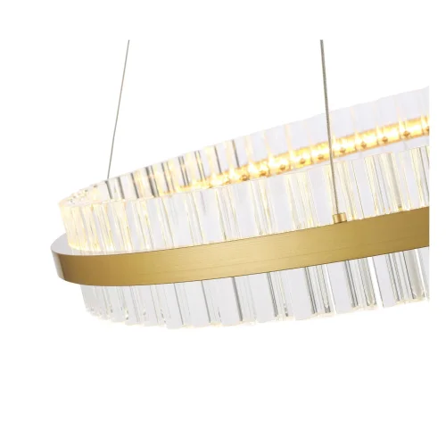 Светильник подвесной LED Cherio SL383.223.01 ST-Luce прозрачный 1 лампа, основание матовое золото в стиле современный кольца фото 2