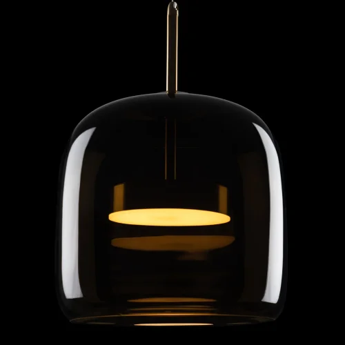 Светильник подвесной LED Dauphin 10040A LOFT IT коричневый 1 лампа, основание золотое в стиле современный выдувное фото 4