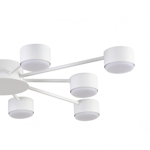 Светильник потолочный Torina 8343/10C Lumion белый на 10 ламп, основание белое в стиле минимализм фото 6
