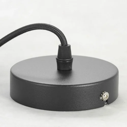 Светильник подвесной Lincoln LSP-8543 Lussole чёрный 1 лампа, основание чёрное в стиле современный  фото 5