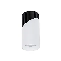 Светильник накладной Polar A5462PL-1WH Arte Lamp белый на 1 лампу, основание белое в стиле современный 