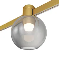 Трековый светильник LED Farm ST819.246.03 ST-Luce дымчатый для шинопроводов серии Farm золотой