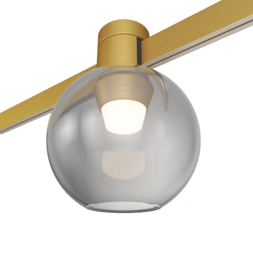 Трековый светильник LED Farm ST819.246.03 ST-Luce дымчатый для шинопроводов серии Farm золотой