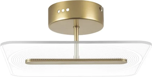 Светильник потолочный LED Acrile 738043 Lightstar прозрачный 1 лампа, основание золотое в стиле минимализм хай-тек современный 