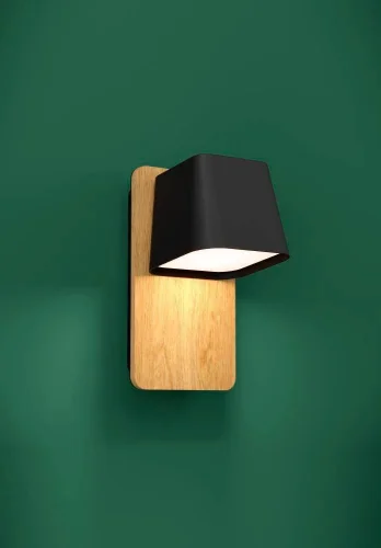 Бра Ruscio 390009 Eglo чёрный на 1 лампа, основание коричневое в стиле современный  фото 2