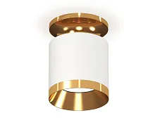 Светильник накладной XS7401121 Ambrella light белый 1 лампа, основание золотое в стиле модерн хай-тек круглый