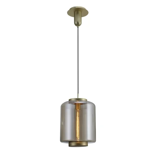 Светильник подвесной лофт JARRAS 6195 Mantra прозрачный бежевый 1 лампа, основание бронзовое в стиле лофт выдувное фото 2