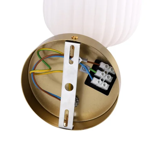 Бра Alegra 8334/1W Lumion белый на 1 лампу, основание бронзовое в стиле классический фото 5 Бра Alegra 8334/1W Lumion белый на 1 лампу, основание бронзовое в стиле классический фото 5