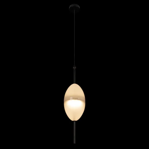 Светильник подвесной LED Venice 10223/E White LOFT IT белый 1 лампа, основание чёрное в стиле современный  фото 3