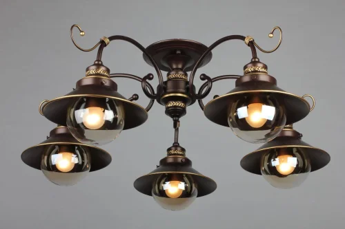 Люстра потолочная Fontelo OML-50407-05 Omnilux прозрачная на 5 ламп, основание коричневое в стиле кантри  фото 3