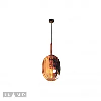 Светильник подвесной Drop A1541/200/F3 BR iLamp коричневый 1 лампа, основание хром в стиле современный выдувное