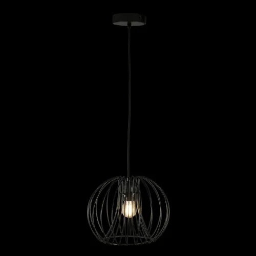 Светильник подвесной Deseno 10032 Black LOFT IT чёрный 1 лампа, основание чёрное в стиле современный лофт  фото 3
