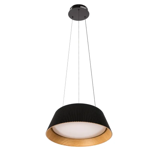 Светильник подвесной LED Evans 10224P Black LOFT IT белый чёрный на 1 лампу, основание чёрное в стиле современный круглый фото 5