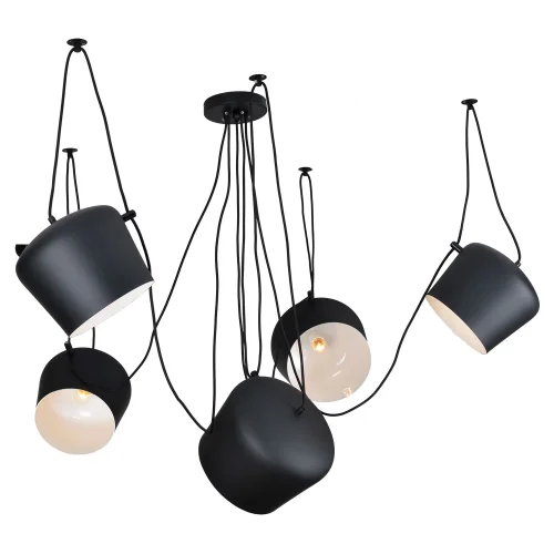 Люстра подвесная лофт Shirley GRLSP-9919 Lussole чёрная на 5 ламп, основание чёрное в стиле лофт 