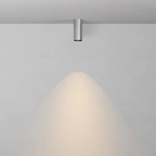Светильник потолочный Фокус / FOCUS LED 12 Вт 3000 К 50° C056CL-L12W3K-W-PT Maytoni платина на 1 лампу, основание платина в стиле современный хай-тек трубочки фото 3 Светильник потолочный Фокус / FOCUS LED 12 Вт 3000 К 50° C056CL-L12W3K-W-PT Maytoni платина на 1 лампу, основание платина в стиле современный хай-тек трубочки фото 3