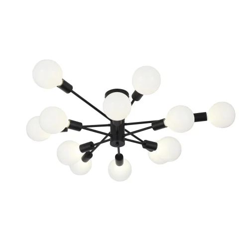 Люстра потолочная лофт Ano SL419.402.12 Evoluce без плафона на 12 ламп, основание чёрное в стиле лофт  Люстра потолочная лофт Ano SL419.402.12 Evoluce без плафона на 12 ламп, основание чёрное в стиле лофт