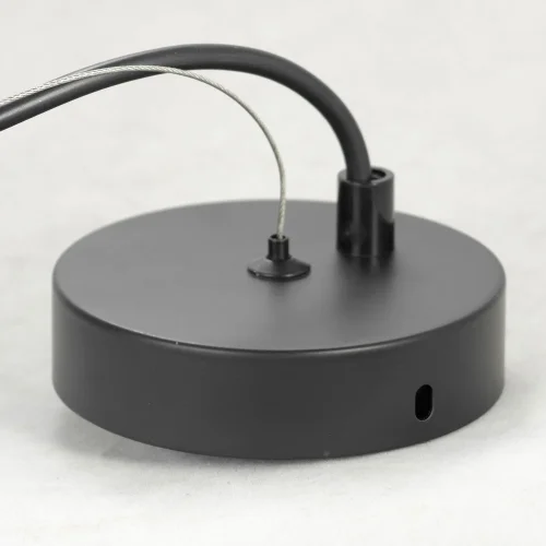 Люстра подвесная Flaming GRLSP-8163 Lussole прозрачная на 9 ламп, основание чёрное в стиле современный шар фото 9