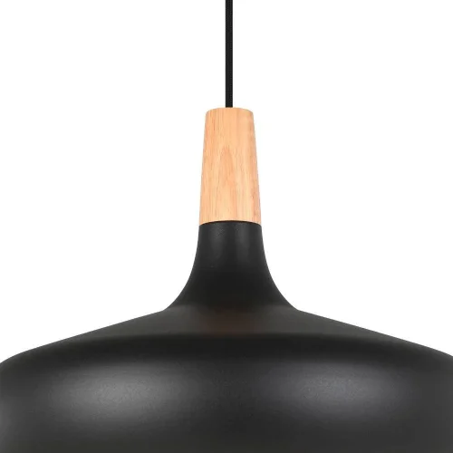 Светильник подвесной Sabinar 900163 Eglo чёрный 1 лампа, основание чёрное в стиле современный  фото 5