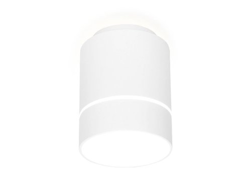 Светильник накладной LED TN256 Ambrella light белый 1 лампа, основание белое в стиле модерн круглый