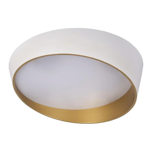 Светильник потолочный LED Coin 10199 White LOFT IT золотой белый 1 лампа, основание белое в стиле современный  фото 5