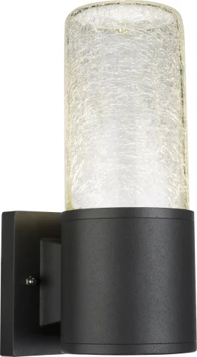 Настенный светильник LED 32409 Globo уличный IP54 чёрный 1 лампа, плафон прозрачный в стиле современный LED