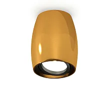 Светильник накладной Techno spot XS1125002 Ambrella light золотой жёлтый 1 лампа, основание золотое жёлтое в стиле современный круглый