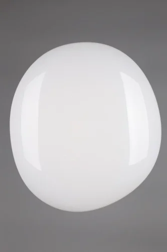 Светильник потолочный LED с пультом Campanedda OML-47507-30 Omnilux белый 1 лампа, основание белое в стиле современный с пультом фото 5