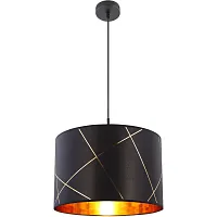 Светильник подвесной Bemmo 15431H1 Globo чёрный 1 лампа, основание чёрное в стиле современный 