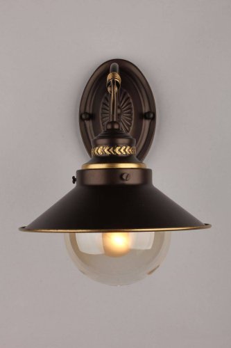 Бра Fontelo OML-50401-01 Omnilux прозрачный на 1 лампа, основание коричневое в стиле кантри  фото 3