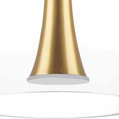Светильник подвесной LED Cupola 804203 Lightstar прозрачный 1 лампа, основание серебряное в стиле арт-деко  фото 8