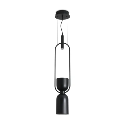 Светильник подвесной Achillea FR5400PL-01B Freya чёрный 1 лампа, основание чёрное в стиле современный  фото 2