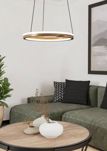 Светильник подвесной LED Mezzomonte 901826 Eglo бронзовый на 1 лампу, основание чёрное в стиле хай-тек современный кольца фото 2