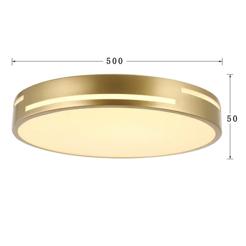 Светильник потолочный LED Pall 2745-2C F-promo белый 1 лампа, основание золотое в стиле современный  фото 3