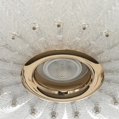 Люстра подвесная LED Deltoro CL327150 Citilux прозрачная на 1 лампу, основание золотое в стиле современный флористика арт-деко фото 4