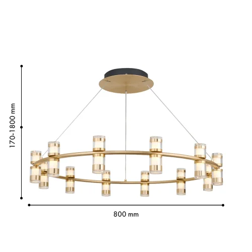 Люстра подвесная LED Ampullen 4323-12P Favourite прозрачная на 12 ламп, основание золотое в стиле современный кольца фото 2
