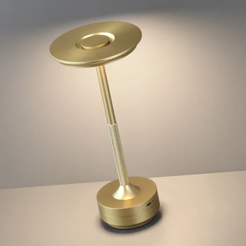 Настольная лампа LED DIMM Tet-A-Tet 5033/6TL Odeon Light матовая золото 1 лампа, основание матовое золото металл в стиле современный  фото 3
