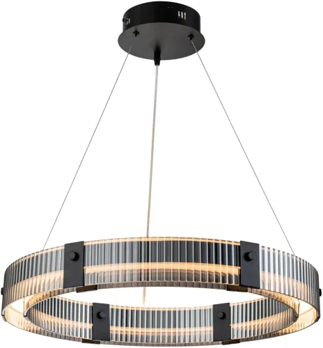 Светильник подвесной LED с пультом Lucen 4007/02/06P Stilfort серый чёрный 1 лампа, основание чёрное в стиле современный с пультом фото 2