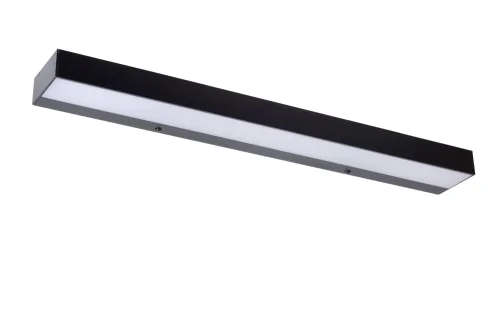 Подсветка для картин LED Alexa 04210/08/30 Lucide белая в стиле современный фото 3