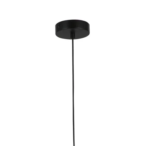 Светильник подвесной Merger 2920-1P F-promo чёрный прозрачный 1 лампа, основание чёрное в стиле современный  фото 3