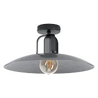 Светильник потолочный лофт Kenilworth 43221 Eglo никель серый 1 лампа, основание чёрное в стиле лофт 
