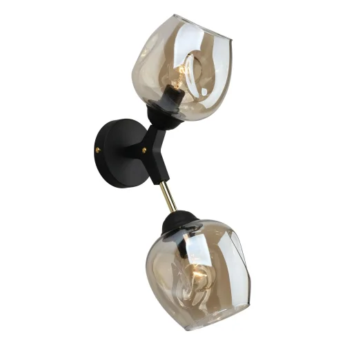 Бра Savelletri OML-93701-02 Omnilux прозрачный серый на 2 лампы, основание чёрное в стиле лофт 