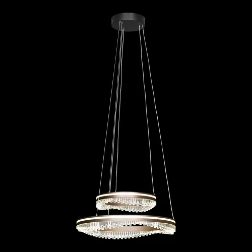 Люстра подвесная LED Hardin LSP-7428 Lussole прозрачная на 1 лампу, основание коричневое в стиле современный хай-тек минимализм кольца фото 2