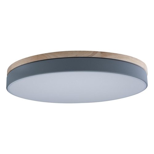 Светильник потолочный LED Axel 10001/36 Grey LOFT IT белый 1 лампа, основание серое в стиле модерн 