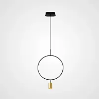 Светильник подвесной HANNIKEN Brass 213760-23 ImperiumLoft латунь 1 лампа, основание чёрное в стиле современный 