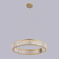 Светильник подвесной LED 8443/S chrome Newport прозрачный на 1 лампу, основание хром в стиле современный кольца Светильник подвесной LED 8443/S chrome Newport прозрачный на 1 лампу, основание хром в стиле современный кольца