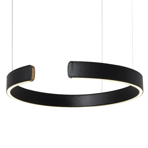 Светильник подвесной LED Ring 10025/400 Black LOFT IT чёрный 1 лампа, основание золотое в стиле хай-тек современный кольца фото 2