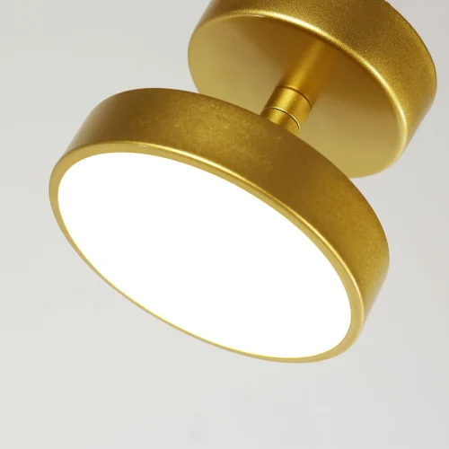 Светильник потолочный LED Atma 3059-1P F-promo латунь 1 лампа, основание латунь в стиле современный  фото 4