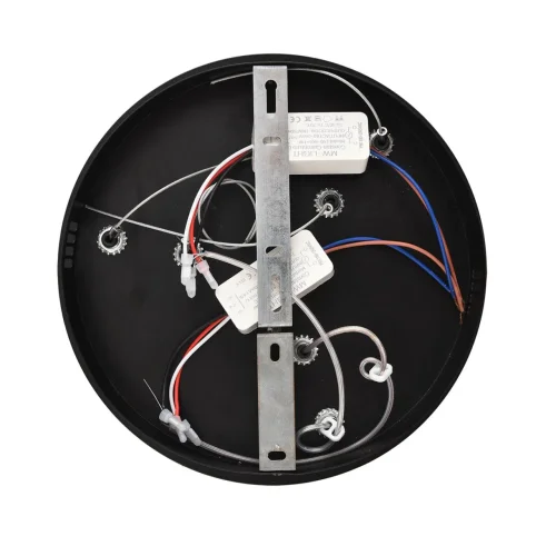 Светильник подвесной LED Sava 8373/55L Lumion чёрный на 1 лампу, основание чёрное в стиле минимализм кольца фото 7