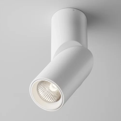 Светильник накладной LED Dafne C027CL-L10W4K Maytoni белый на 1 лампу, основание белое в стиле современный хай-тек круглый фото 3