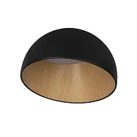 Светильник потолочный LED Egg 10197/350 Black LOFT IT белый чёрный коричневый 1 лампа, основание коричневое чёрное в стиле современный 